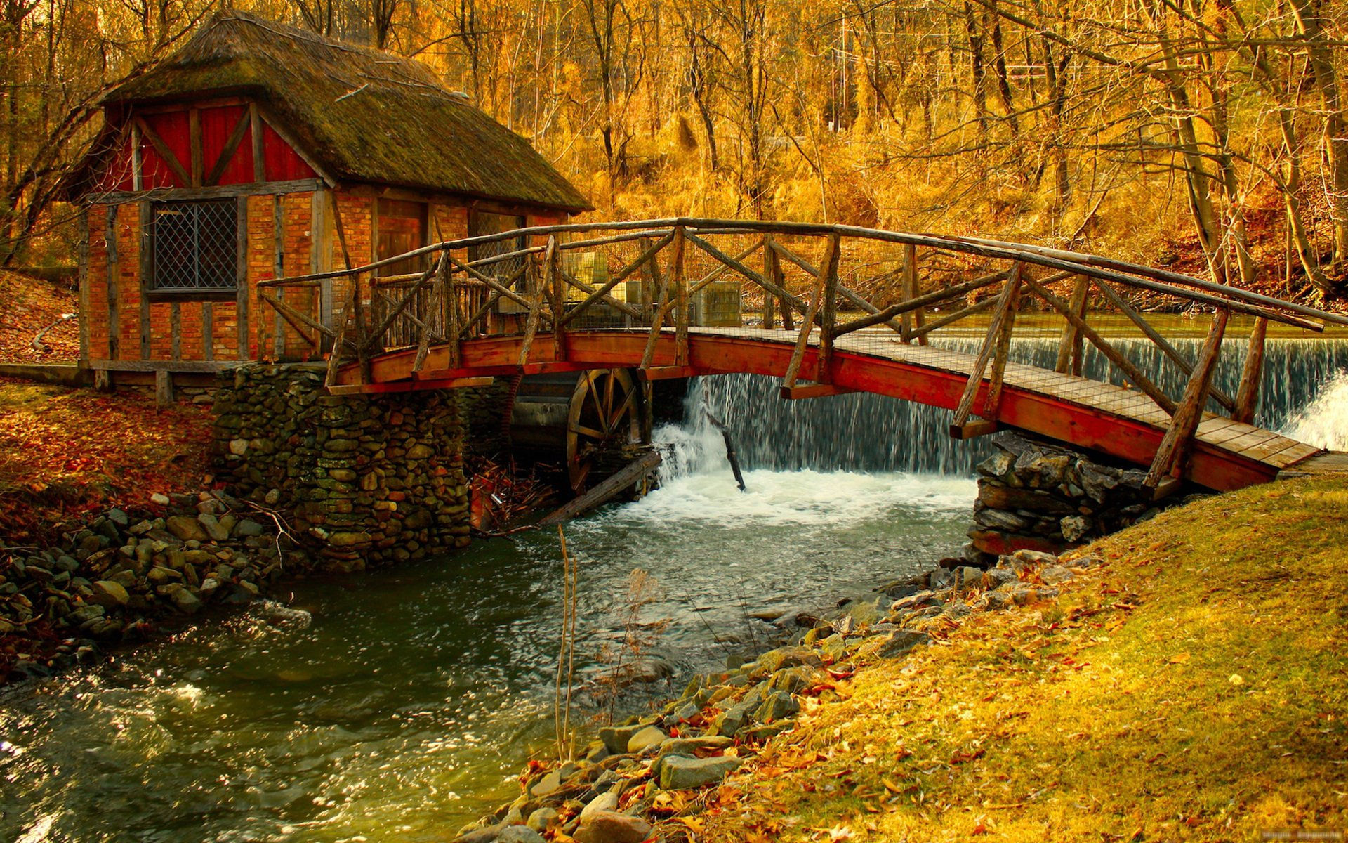 Fonds D cran Automne MaximumWallHD