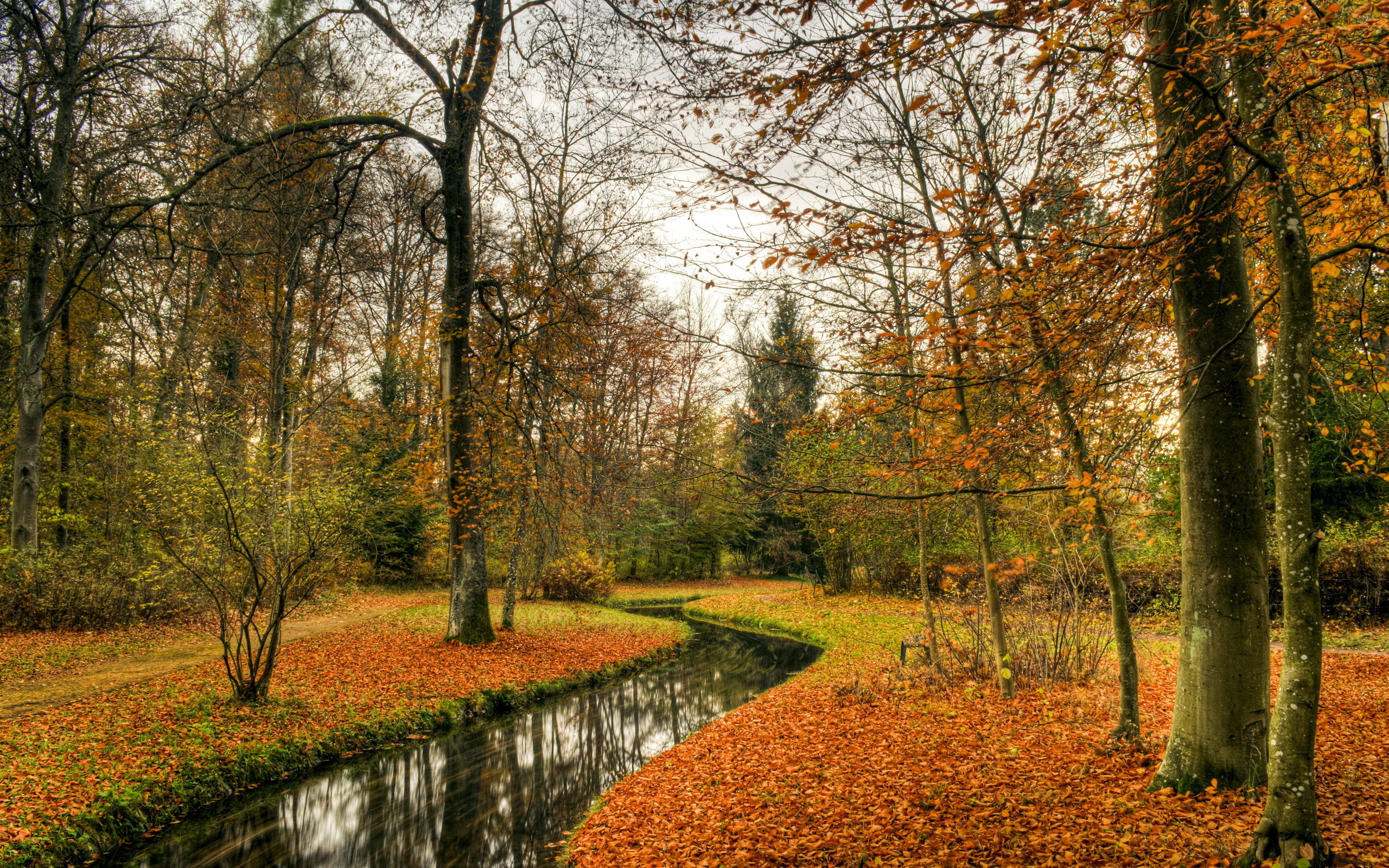 Fonds cran Gratuits Automne Fonds D crans Gratuits Automne ARKBC